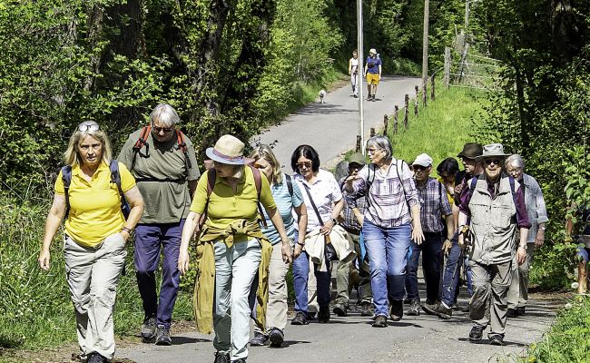 Zwischen Blüten und Naturschutz Zwischen Blüten und Naturschutz