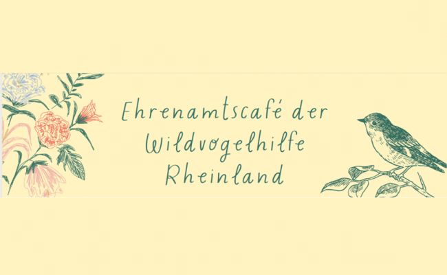 Einladung zum Mitmachcafé der Wildvogelhilfe Rheinland Einladung zum Mitmachcafé der Wildvogelhilfe Rheinland