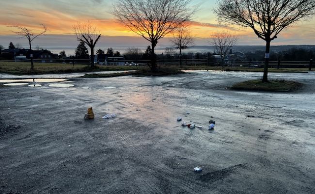 Stadtbäume im Klimawandel - Führung in Sechtem Stadtbäume im Klimawandel - Führung in Sechtem