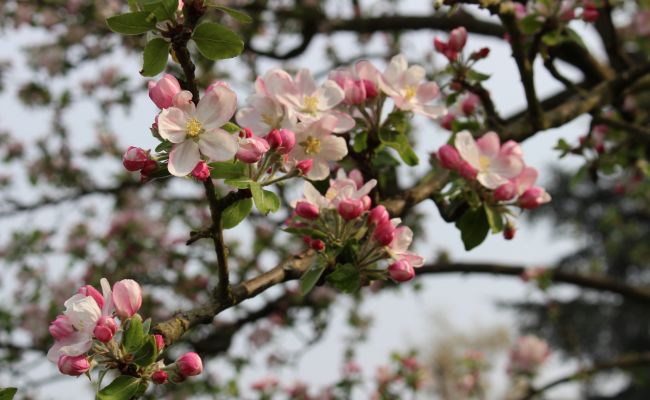 In heimischer Landschaft unterwegs In heimischer Landschaft unterwegs
