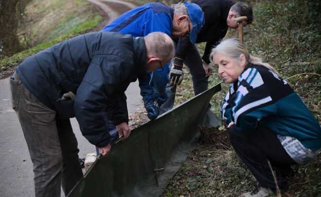 Entenweiher Brenig: LSV rettet Amphibien Entenweiher Brenig: LSV rettet Amphibien