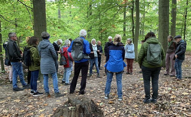 Wie sich Lebewesen auf den Winter vorbereiten Wie sich Lebewesen auf den Winter vorbereiten